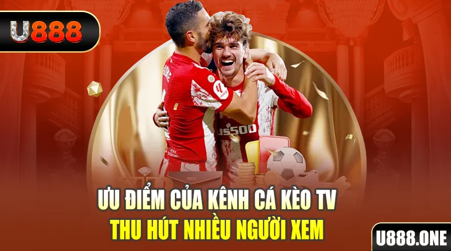 vn8day gà chọi cu cần