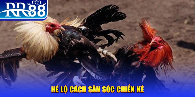 vn8day xổ số miền trung thứ tư