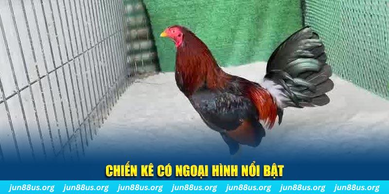 vn8day game bắn cá