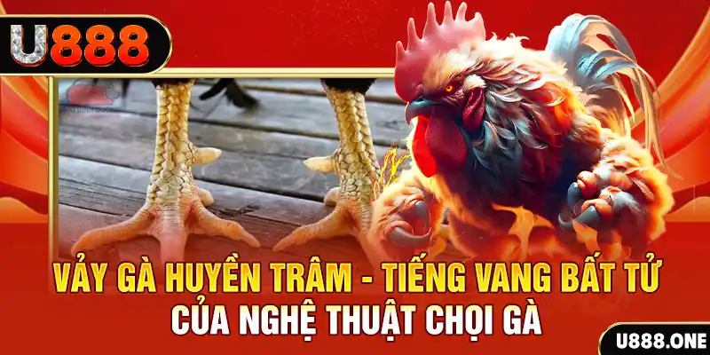 vn8day đăng nhập roulette trực tuyến