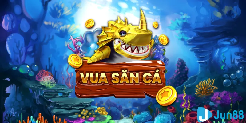 vn8day casino hồ tràm có cho người việt vào không
