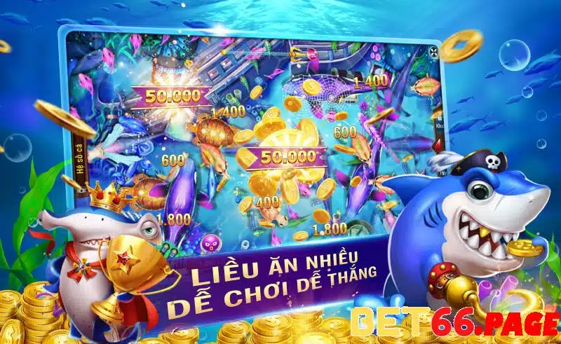 vn8day 1 slot là gì