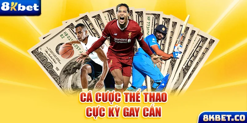 vn8day xem đá gà trực tiếp